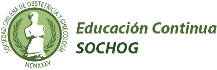 E-Sochog